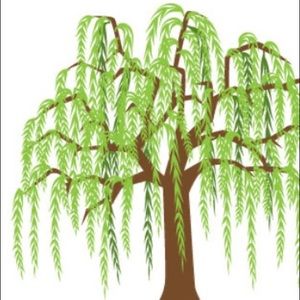 Meet your Posher, Lindsay